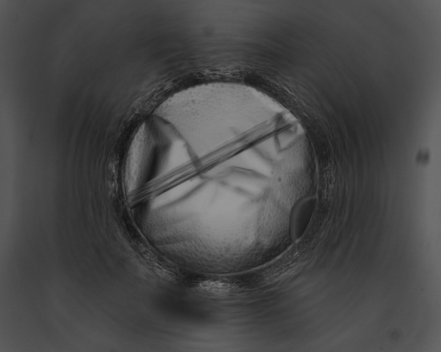 X0000091170699200708301155