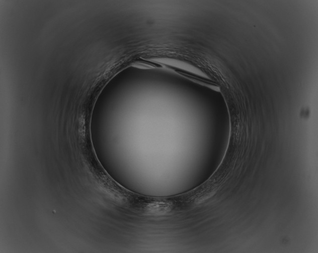 X0000091170700200708301155