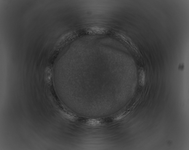 X0000091170701200708301155