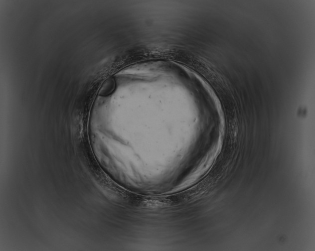 X0000091170703200708301155