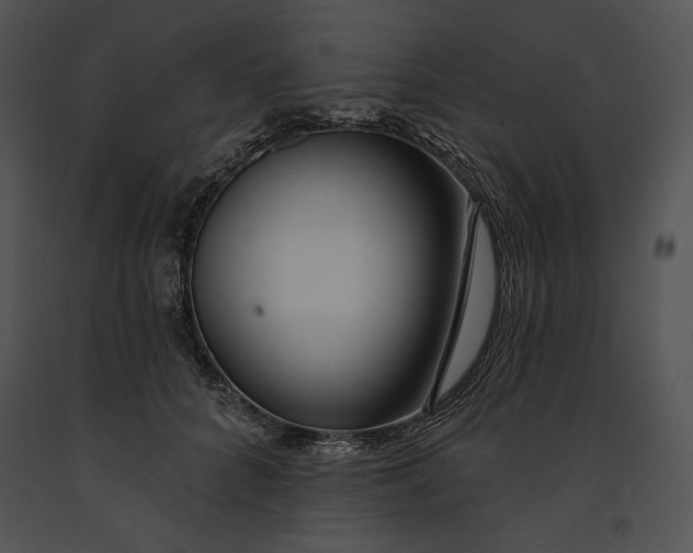 X0000091170704200708301155