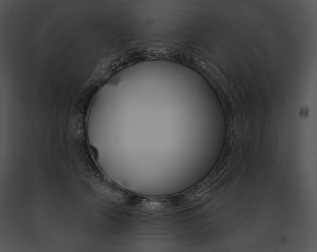 X0000091170706200708301155