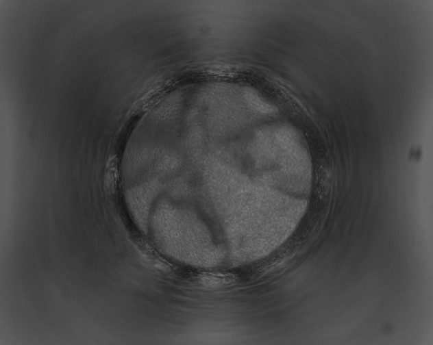 X0000091170707200708301155