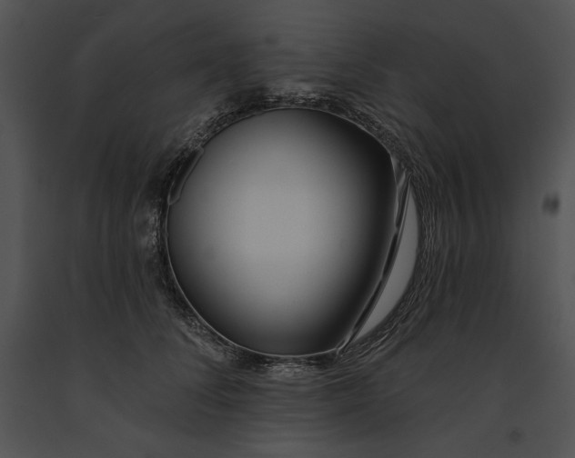 X0000091170708200708301155