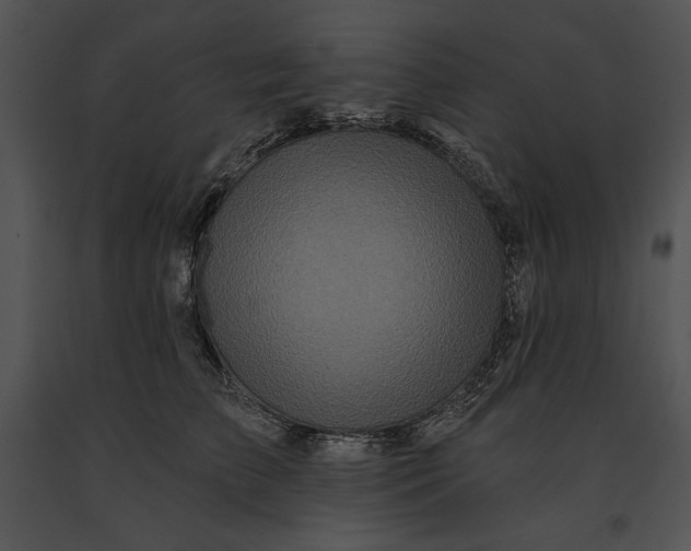 X0000091170709200708301155