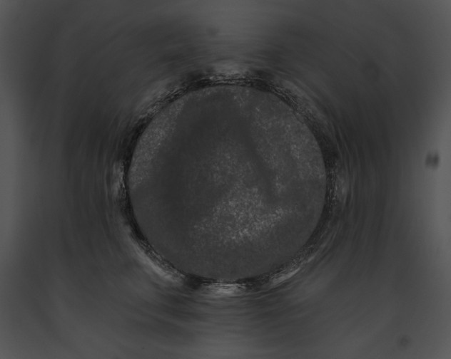 X0000091170711200708301155