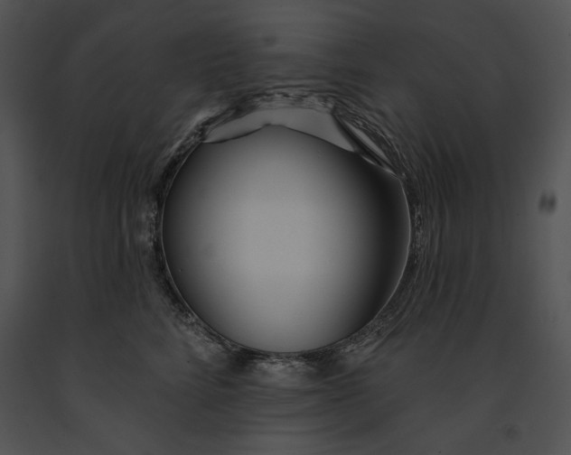 X0000091170712200708301155