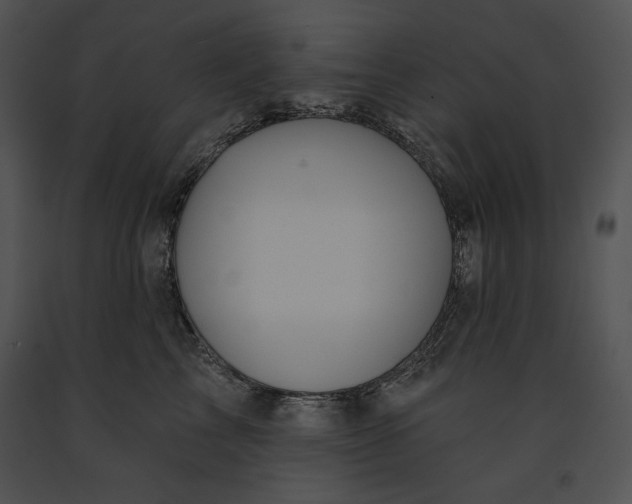 X0000091170713200708301155