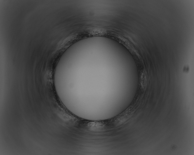 X0000091170714200708301155