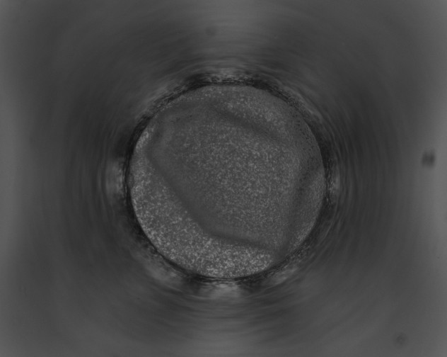 X0000091170715200708301155