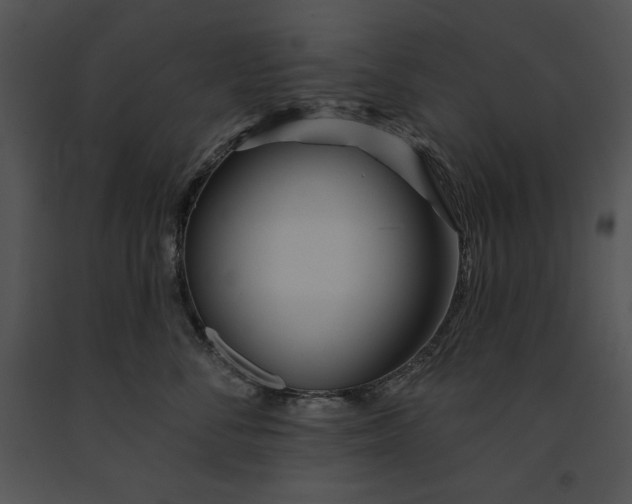 X0000091170716200708301155