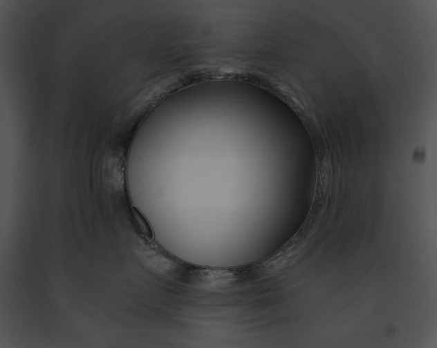 X0000091170719200708301155