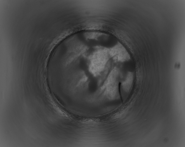 X0000091170721200708301154