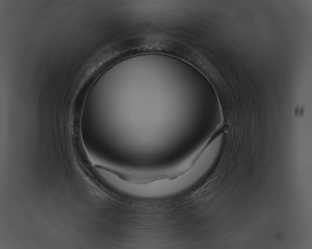 X0000091170722200708301154