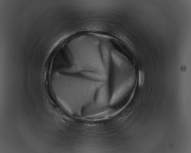 X0000091170723200708301154