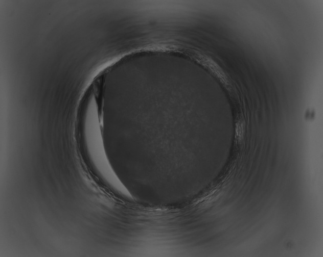 X0000091170724200708301154