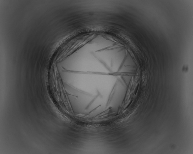 X0000091170725200708301154