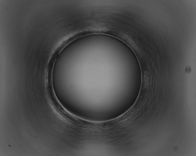 X0000091170726200708301154