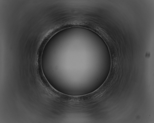 X0000091170727200708301154