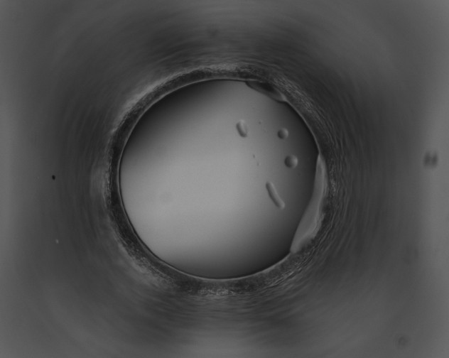 X0000091170728200708301154