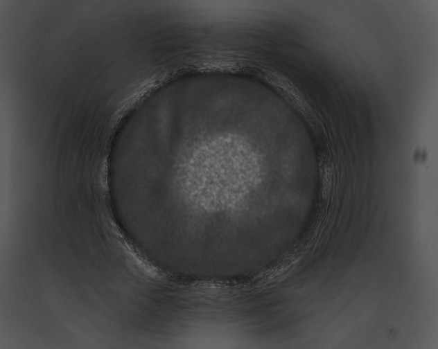 X0000091170729200708301155