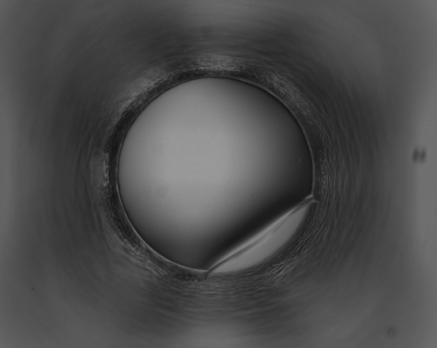 X0000091170731200708301155