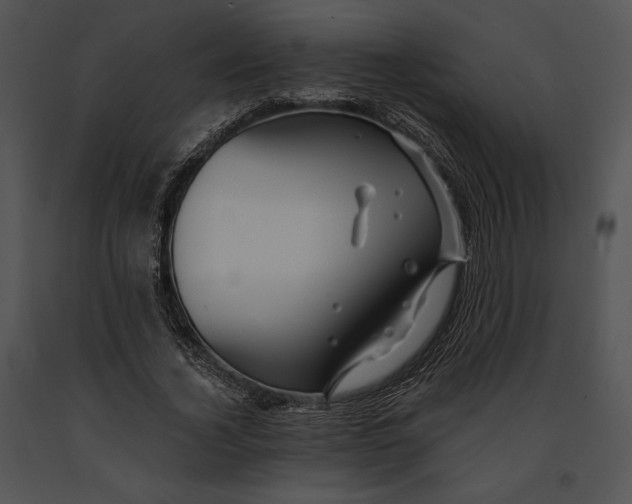 X0000091170732200708301155