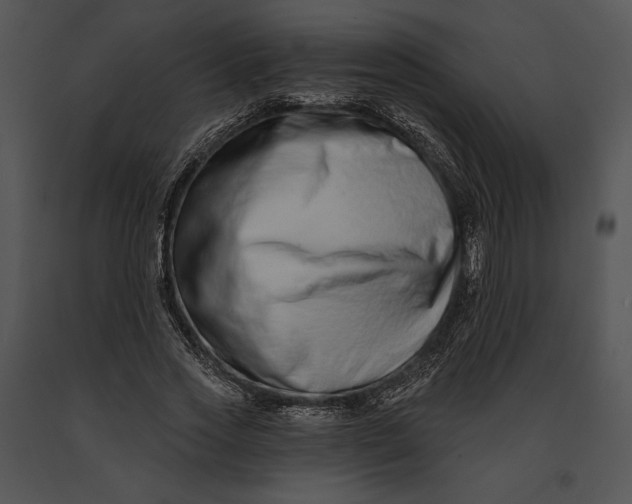 X0000091170733200708301155