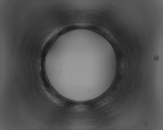 X0000091170734200708301155