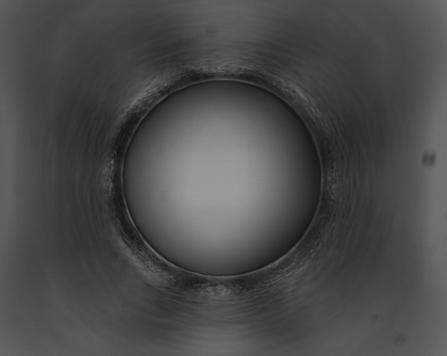 X0000091170735200708301155