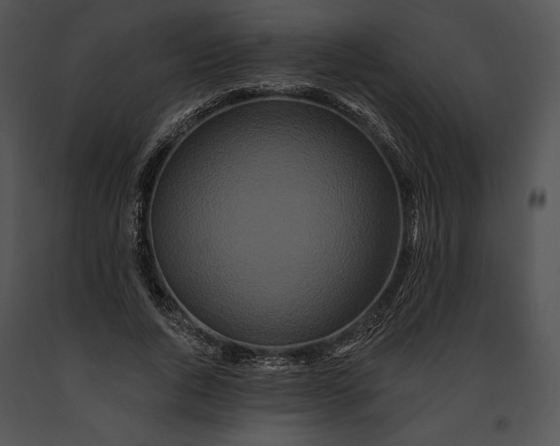 X0000091170736200708301155