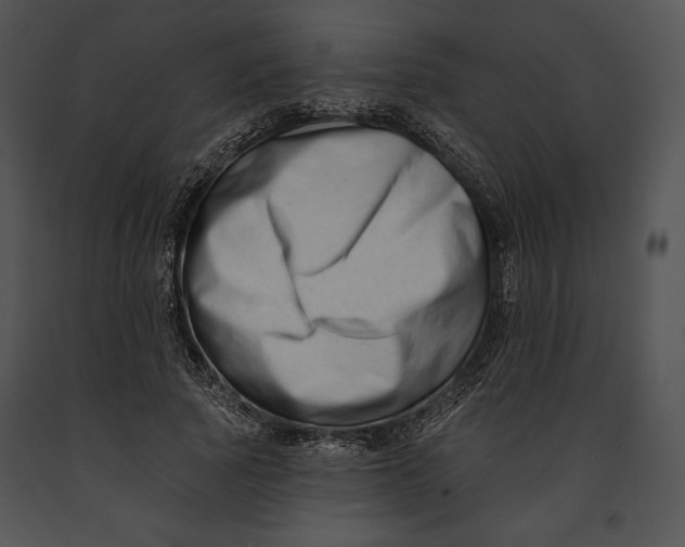 X0000091170737200708301155