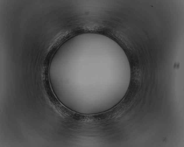 X0000091170738200708301155