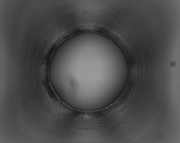 X0000091170739200708301155