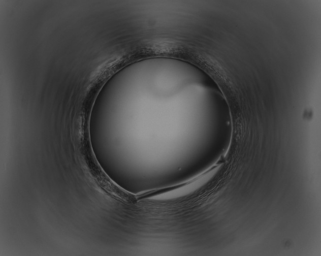 X0000091170740200708301155