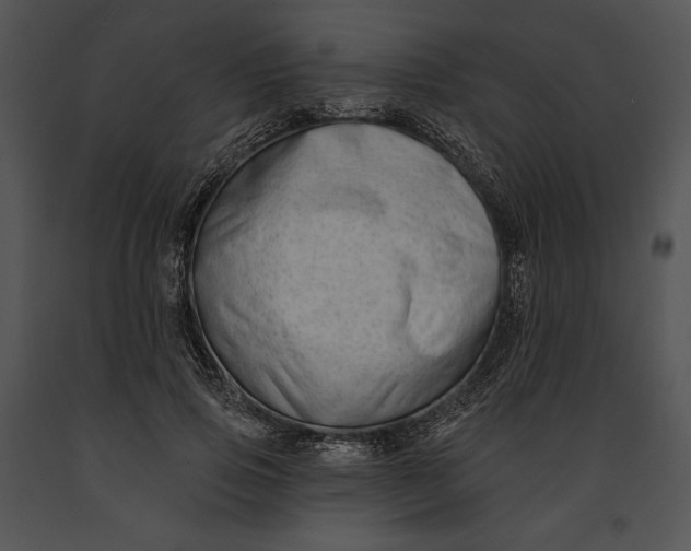 X0000091170741200708301155