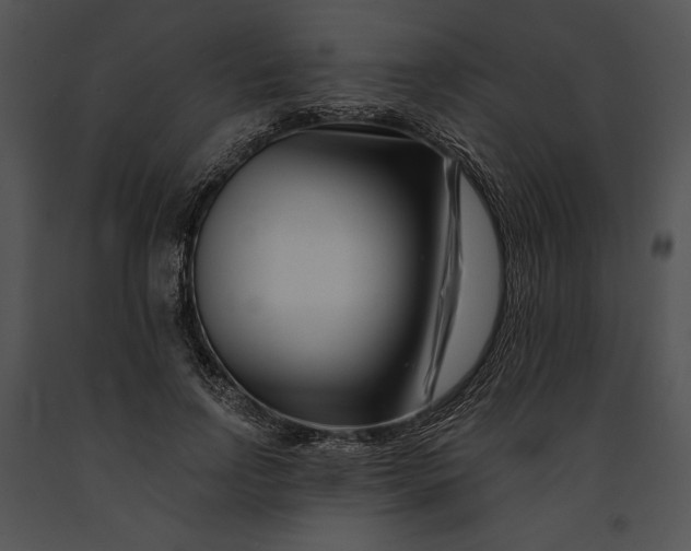 X0000091170742200708301155