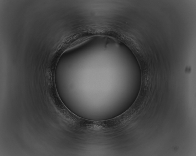 X0000091170743200708301155