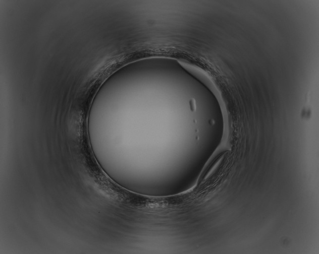 X0000091170744200708301155