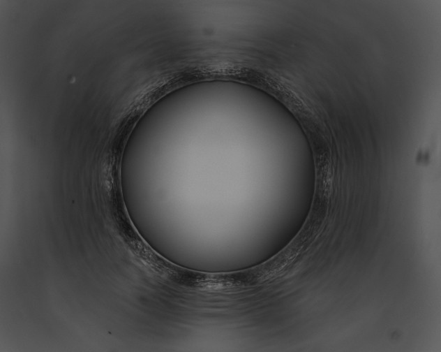 X0000091170746200708301155