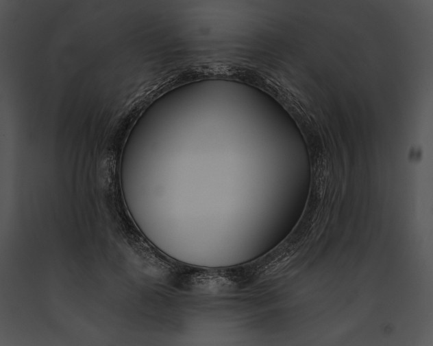 X0000091170747200708301155