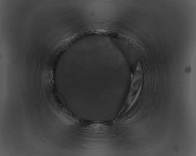 X0000091170748200708301155