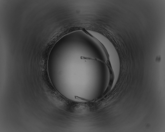 X0000091170750200708301155