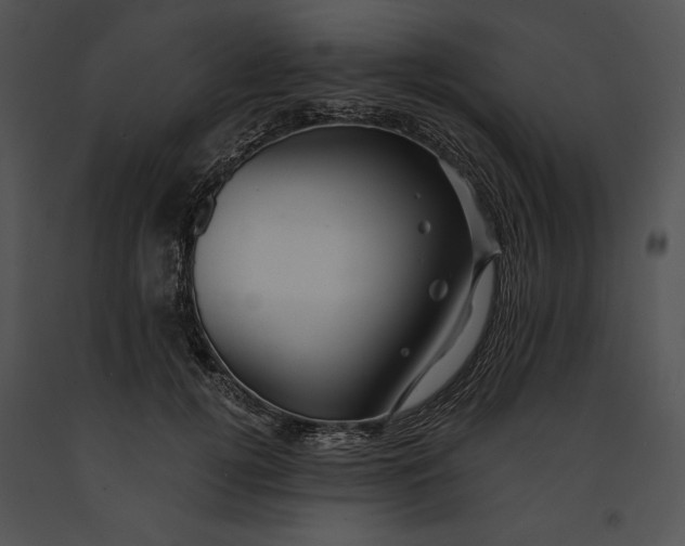 X0000091170752200708301155