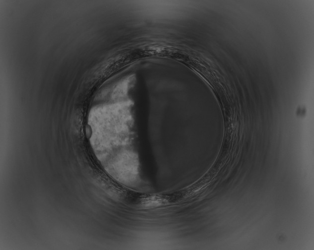 X0000091170754200708301155