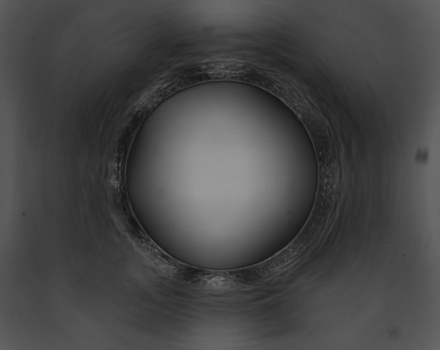 X0000091170755200708301155