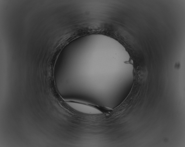 X0000091170756200708301155