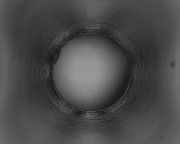 X0000091170758200708301155