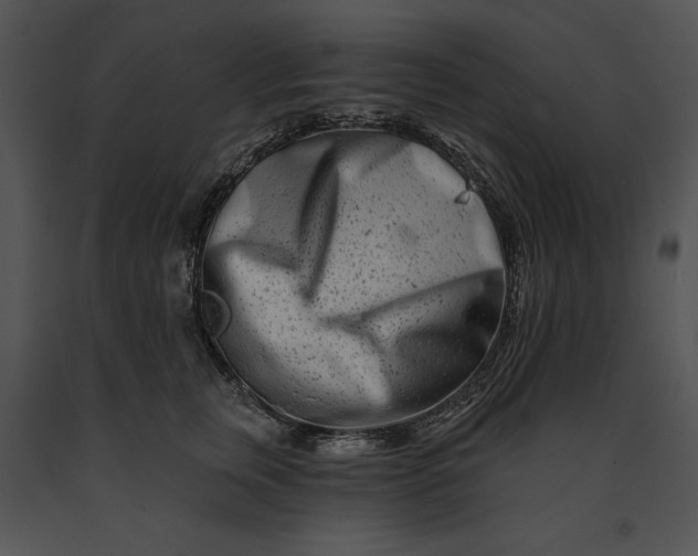 X0000091170759200708301155