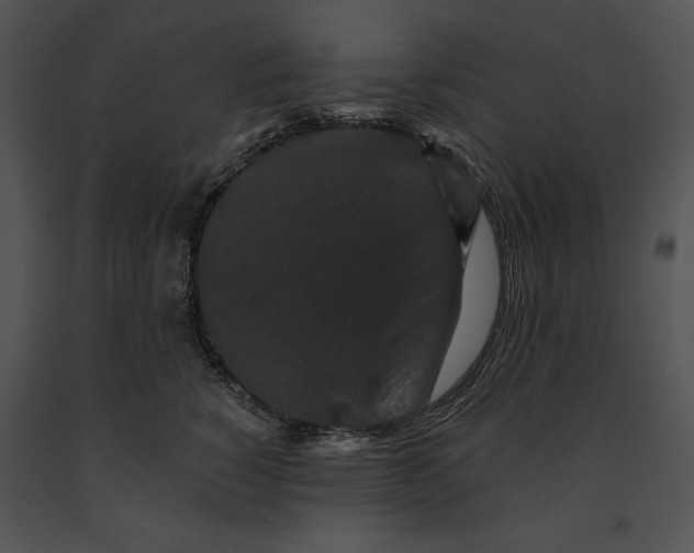 X0000091170760200708301155